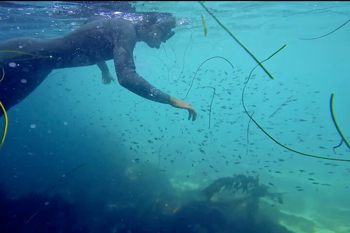 Crystal Clear Waters